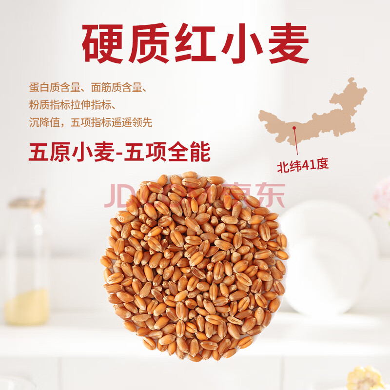 鑫乐雪花粉5kg【河套平原雪花粉】国家地标A级绿色食品 中筋面粉