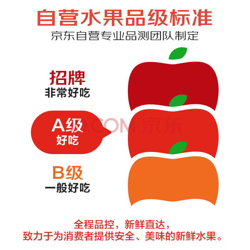 佳农 泰国进口椰青9粒装 单果900g+ 赠开椰器吸管 新鲜水果 源头直发