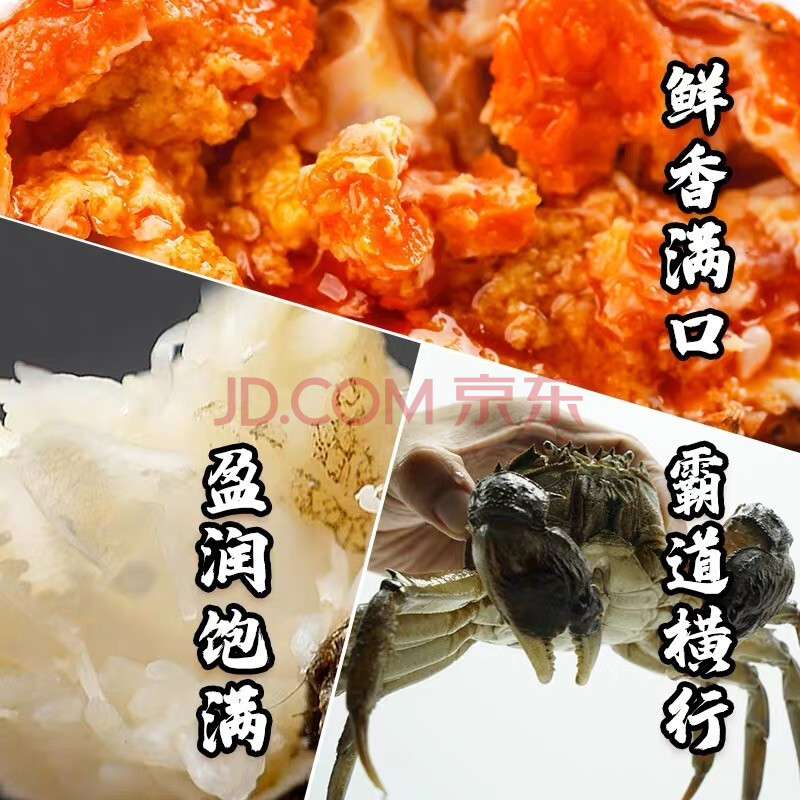 湖鲜阳澄 大闸蟹 去绳足重 全母3.3-3.6两 8只 鲜活的现货螃蟹水产送礼礼盒装