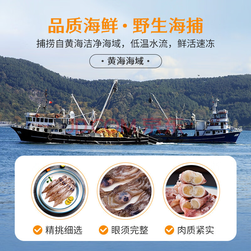 美加佳美加佳 笔管鱿鱼500g 海兔子 墨斗鱼 海鲜水产 烧烤食材