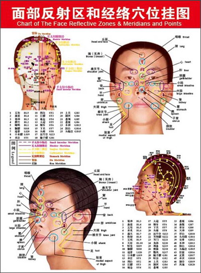 面部反射区和经络穴位挂图(中英文版)【图片 价格  】