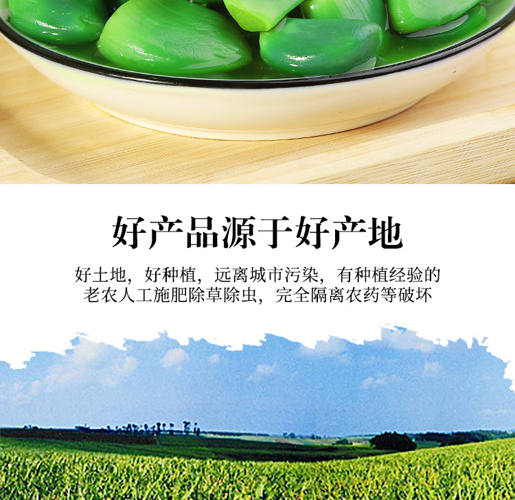 桃西村 腊八蒜250g*2