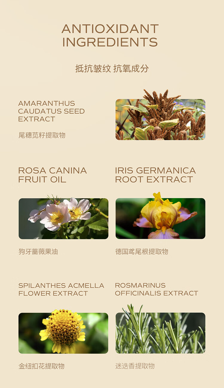天露芬（TAUTROPFEN）精华油 抗氧化精华液 抗皱紧致精华淡化细纹精华露礼物女  赋活精华油70ml