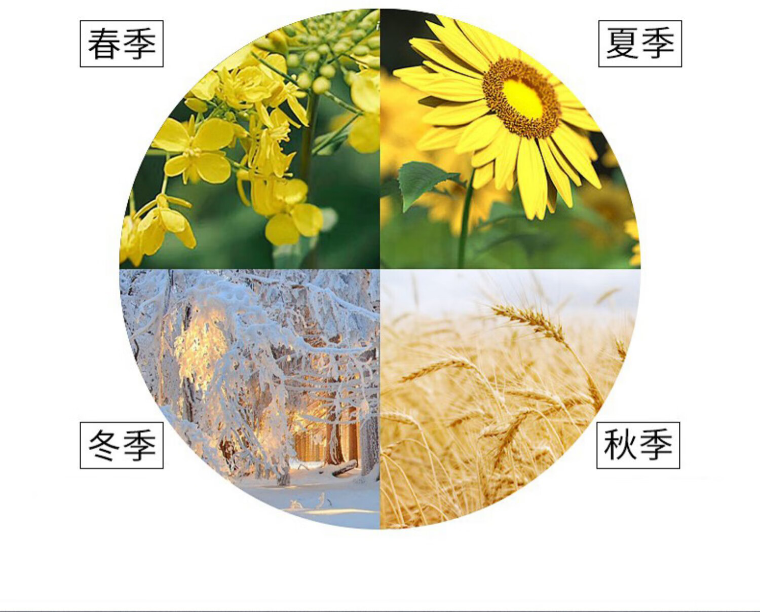 泉帝（QUANDI）雪柔雅轻透防晒乳霜乳 保湿轻薄透气隔离防晒乳quan帝情人节礼物 50ml*1瓶【男士防晒必备】