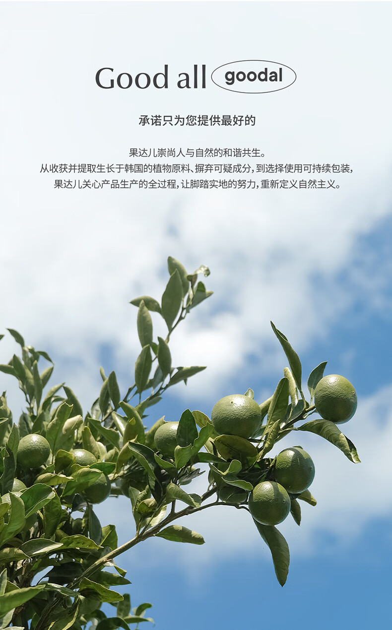 果达儿（goodal）青橘VC精华贴片面膜补水保湿褪斑韩国进口白皙提亮肤色脸部 1片