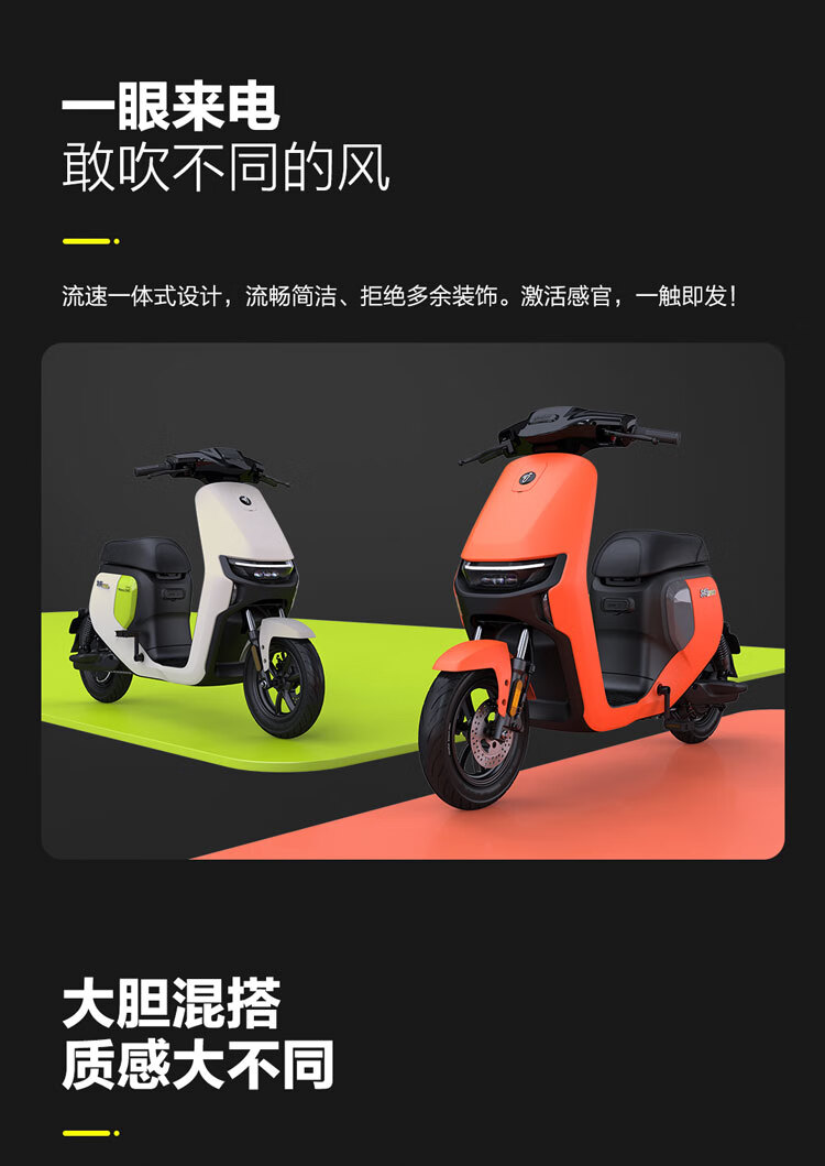 电动自行车_Ninebot 九号 电动自行车 远行者F90