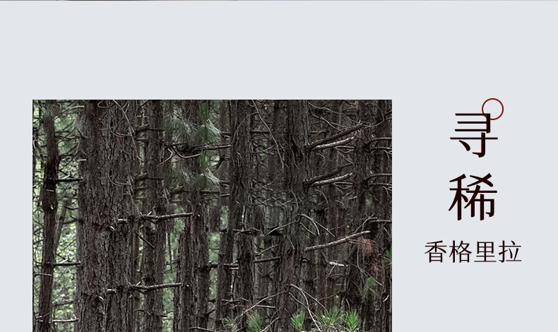 稀物集 松茸菌菇氨基酸洁面乳温和不刺激去油清洁毛孔油皮男女士 稀物集氨基酸洁面乳50g