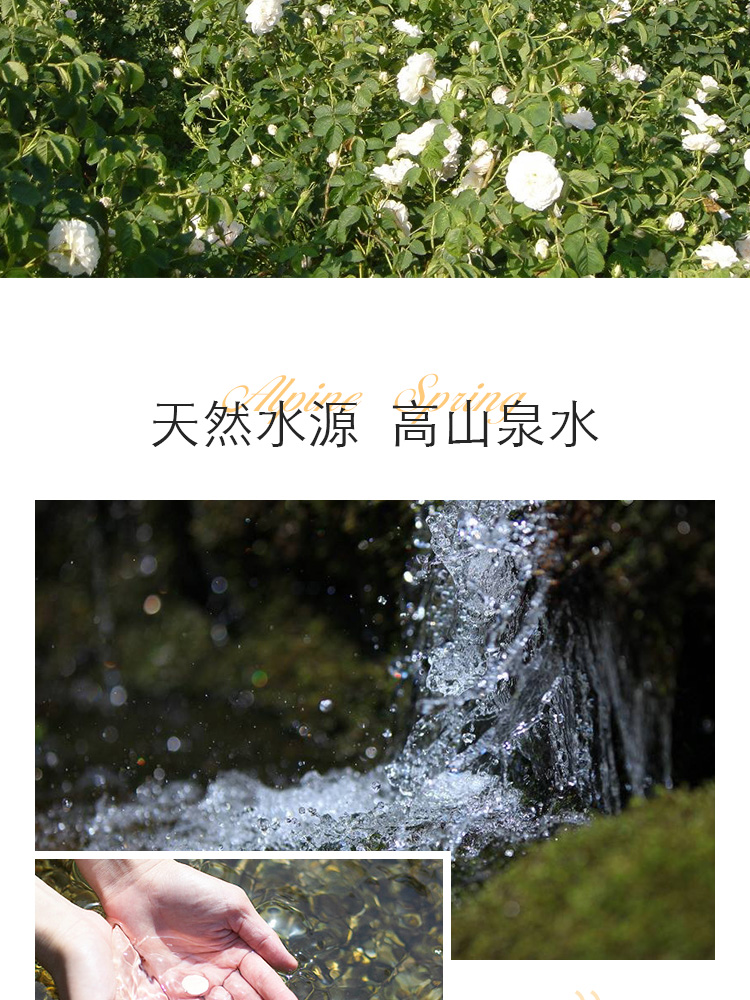 魔天然【保加利亚进口】有机白玫瑰纯露原浆玫瑰水花水(补水亮肤） 310ml