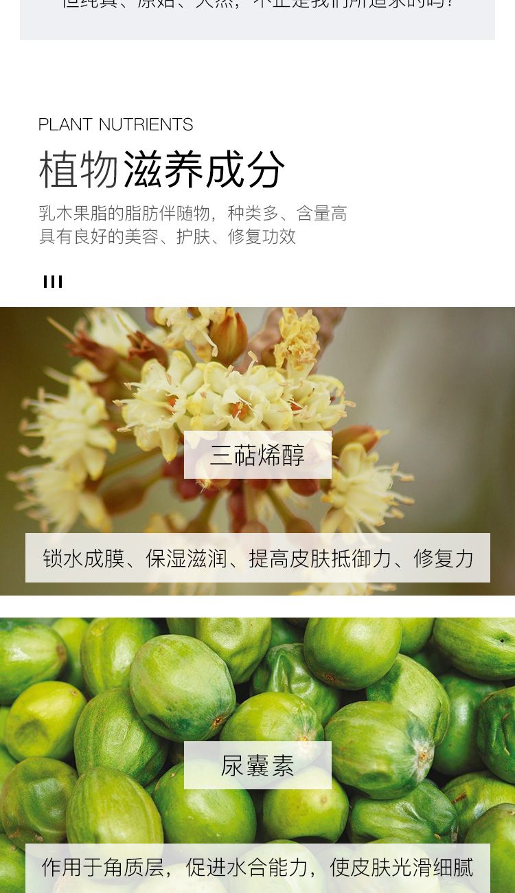 魔天然【加纳进口】有机乳木果油 非洲乳木果脂未精制 面霜(锁水保湿) 100g