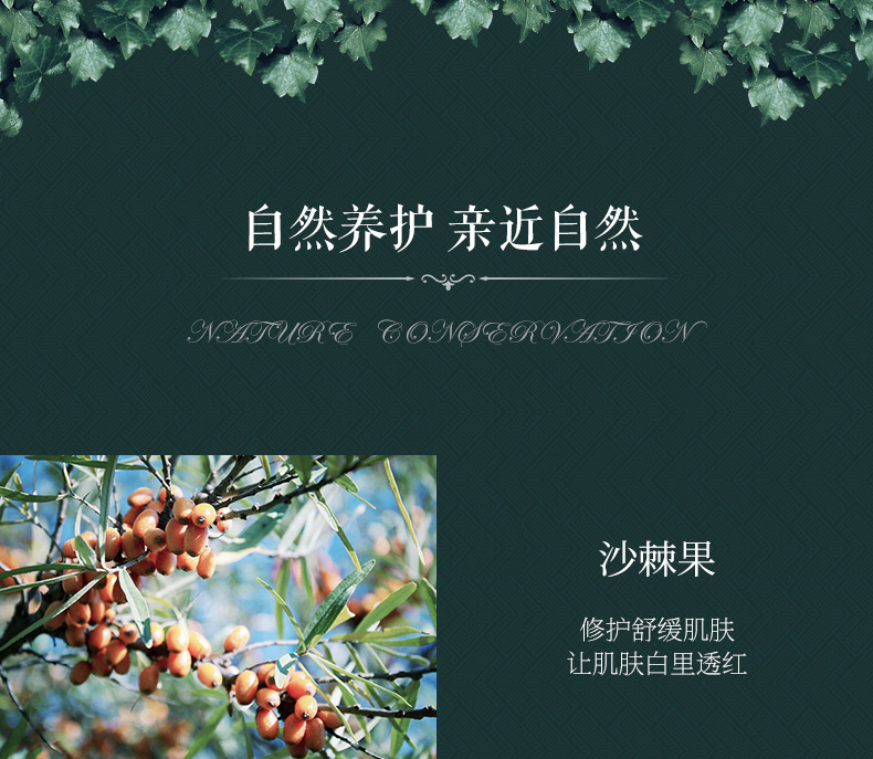 婀卡菲娅老奶奶 俄罗斯Russia国家馆护手霜小支便携 75ml 雪松蜂胶保湿*3支