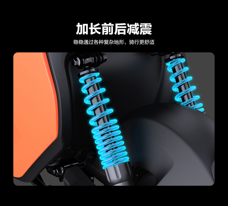 电动自行车_Ninebot 九号 电动自行车 远行者F90