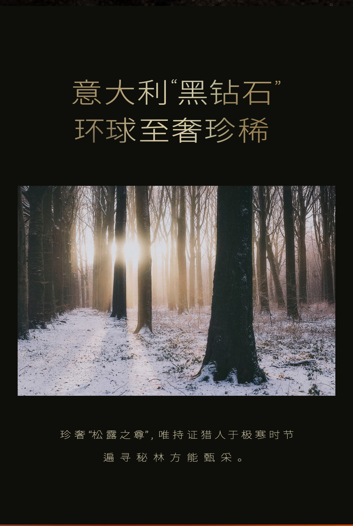 植卡美 黑钻松露眼霜｜高奢抗皱｜紧塑上扬｜焕亮眼周 【体验装】黑松露眼霜3g