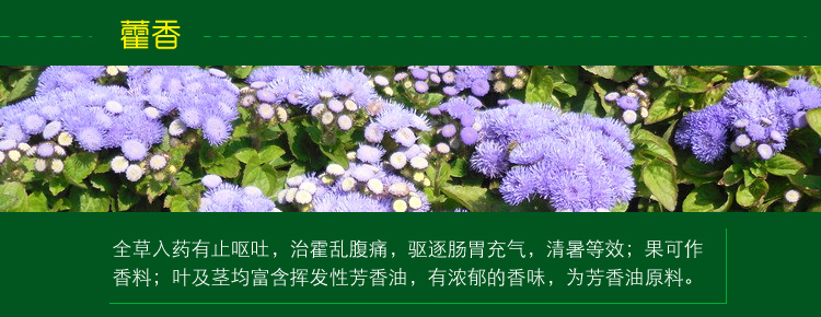
                                        
                                                            绿驰 植物精华去除甲醛苯除油漆味喷雾剂 除味除臭去烟味分解异味净化剂 非空气清新剂 500ml                