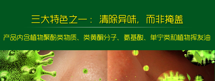 
                                        
                                                            绿驰 植物精华去除甲醛苯除油漆味喷雾剂 除味除臭去烟味分解异味净化剂 非空气清新剂 500ml                