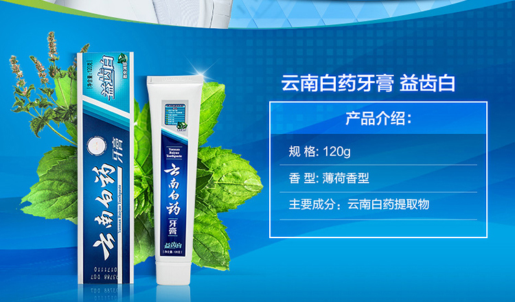 云南白药 牙膏 120g(益齿白 激爽薄荷型)