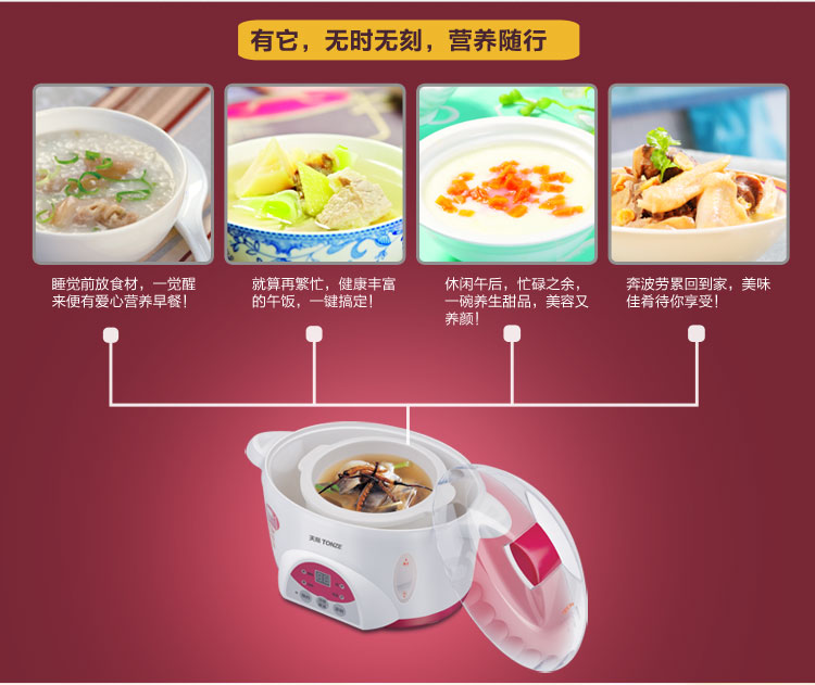 
                                        
                                        天际(TONZE)电炖锅隔水炖 煮粥煲汤BB粥DGD10-10QWG 1L                