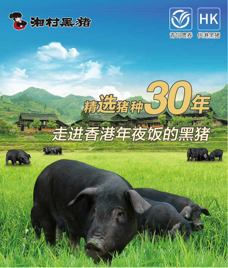 湘村黑猪 猪肋排段 400g/袋 供港猪肉 儿童放心吃 gap