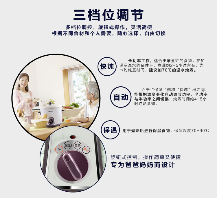 
                                        天际(TONZE)DDG-W310N电炖锅煲汤锅1L                