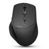 Rapoo MT550 Bluetooth 2.4G мышь беспроводная мышь черный rapoo 3520p беспроводная мышь офис мышь