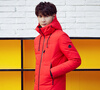 Brand: Wst Packing: 1 * box Weight: 0.6kg Filling: gray goose down Cashmere: 81% ~ 85% Style: Basic Edition type: body type Length golden goose deluxe brand повседневные брюки