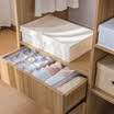 Bunana Bunana Simple Oxford Cloth Storage Box Underwear Bra Socks Sorting Box Foldable Apricot