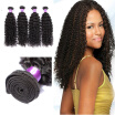 Brazilian Curly Hair 4 Bundles 100 Virgin Human Hair Extensions