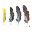 LMA Loma Personality 3D Sticker Color Feather Car Sticker