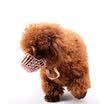 HANHANLEYUAN juego de boca para perro antiflama máscara de perro antiparazo juego de boca para perro Juego de perro pequeño de peluche perro a prueba Perro boca de perro cubierta de perro 4ta mascota de 30 kg