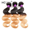 HCDIVA Brazilian Ombre Hair Body Wave 3 Bundles Virgin Hair Unprocessed Virgin Human Hair Weave T1B27 honey blonde