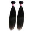 Brazilian Virgin Hair Straight Cheap Queen Hair Products Brazilian Straight Hair 2 Bundles 10 Inch Human Hair 100g Each Bundles