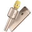 EARISE Q8 mobile phone microphone wireless Bluetooth national K song treasure condenser microphone sing anchor special cool black