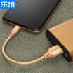 LEJIE Apple data line charging treasure short-term 025 meters local gold for iphone6s78 PlusX iPhone XS10SEiPad LUIC-2025E