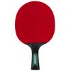Agnite Table tennis bat