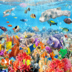 Custom Mural Wallpaper Underwater World Colorful Coral Wall Decorations Living Room Sofa TV Background Photo Wallpaper 3D Custom