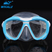Whale Brand Professional Silicone Gear Scuba Diving Mask Equipment Snorkel Anti-Fog UV Waterproof Dive Glasses