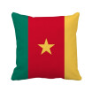 Cameroon National Flag Africa Country Square Throw Pillow Insert Cushion Cover Home Sofa Decor Gift