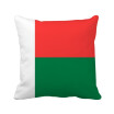 Madagascar National Flag Africa Country Square Throw Pillow Insert Cushion Cover Home Sofa Decor Gift