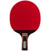 Agnite Samsung fast-break table tennis penhold F2323 double-sided anti-adhesive 3 star single shot