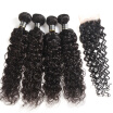 Indian Water Wave Bundles With Closure 3 Bundles Human Hair Weave With Lace Closure Indian Virgin Hair With Closure