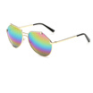 Vintage Modern Cut edge Sunglasses Metal Frame Mirror Flat Mirror Sun Glasses Reflective Coating Lens