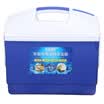 Youku products win 10L incubator refrigerator portable household incubator breast milk storage box blood medicine cold box car outdoor picnic barbecue fishing box blue