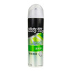 Gillette shaving foam cool mint shaving foam 210g