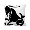 Constellation Capricorn Zodiac Sign Square Throw Pillow Insert Cushion Cover Home Sofa Decor Gift