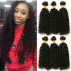 CLAROLAIR Hair Malaysian Curly Hair Malaysian Virgin Hair Kinky Curly Afro Kkinky Curly Human Hair Weaves 3 Bundles