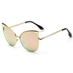 Cat Eye Stylish Sunglasses Charming Hollow Out Frames Eyeglasses