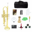 Professional Brass Trumpet Bb B Flat with Mouthpiece Carry Bag Tuner Mute Trumpet Stand Gloves Cleaning Tools