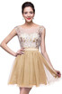 A-Line Sleeveless Bateau Short Tulle Appliques Prom Dresses