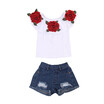 Summer Baby Kids Girls Clothes 3D Flower print sleeveless Ruffle round neck pullover T-Shirts Denim Hole Pants 2pc cotton Set