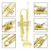 Trumpet Bb B Flat Brass with Mouthpiece Brush Cloth Gloves Strap Golden C4D5