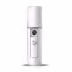 Portable USB Mini Face Spray Beauty Instruments Nano Mist Sprayer Facial Body Nebulizer Steamer Moisturizing Skin Care